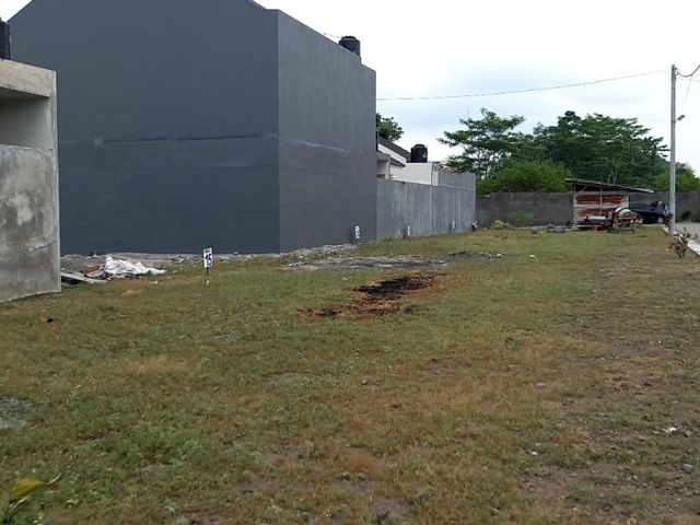 place photo 15