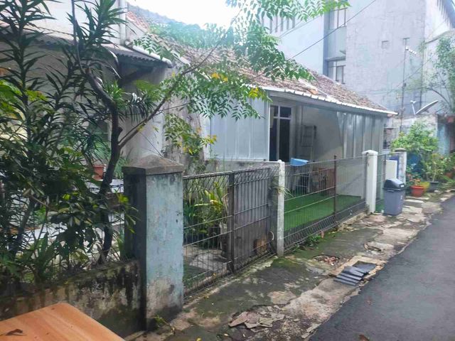 place photo 4