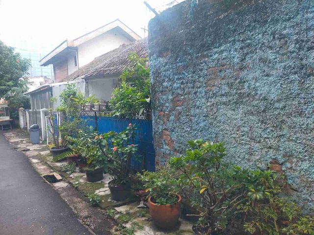 place photo 5