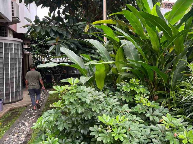 place photo 49