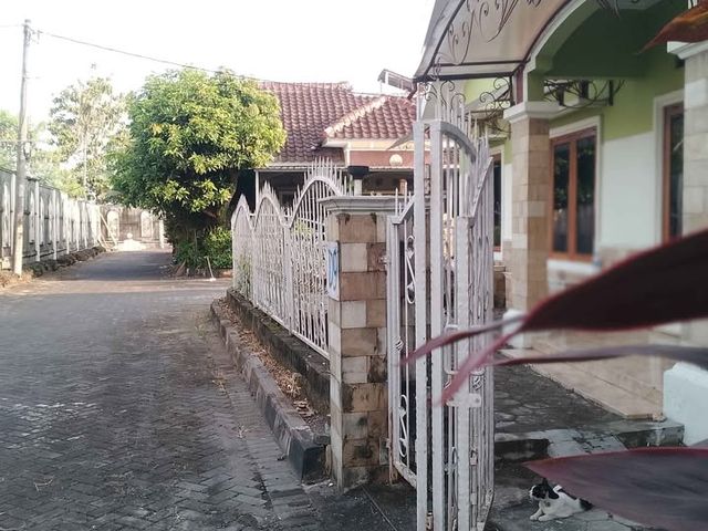 place photo 3