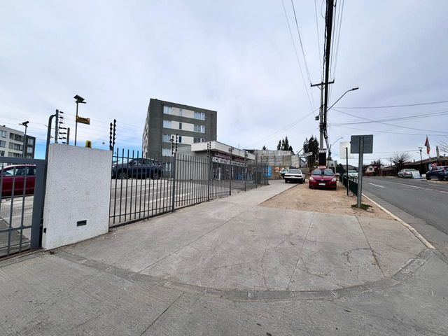 place photo 32