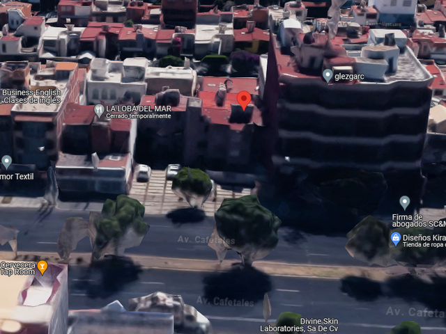 place photo 10