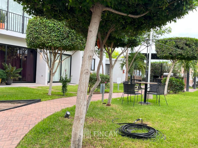 place photo 12
