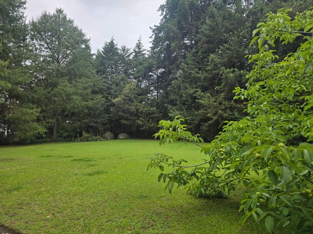 place photo 26