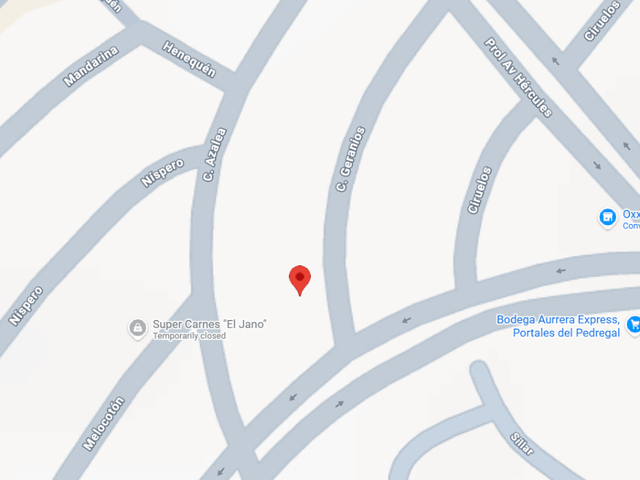 place photo 4