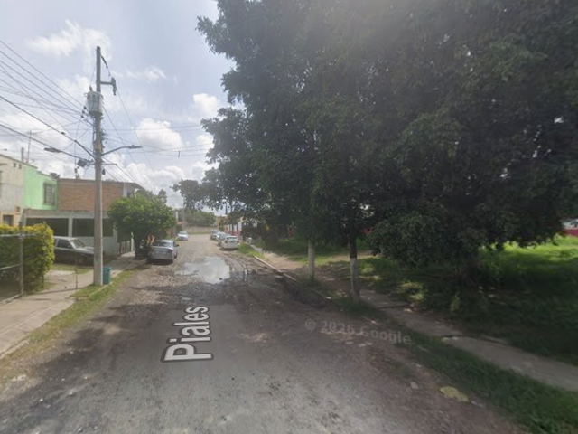 place photo 8
