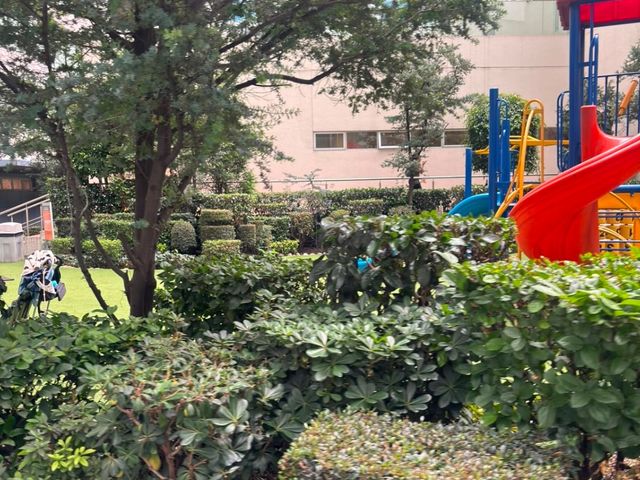 place photo 26