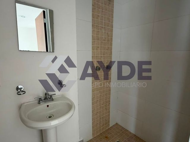 place photo 17