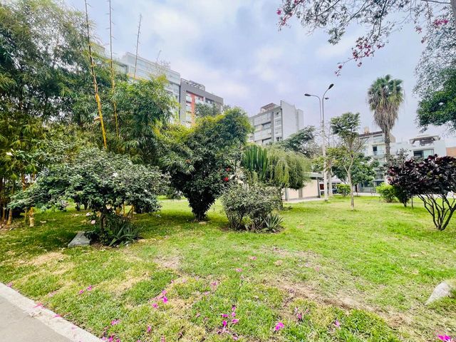 place photo 42