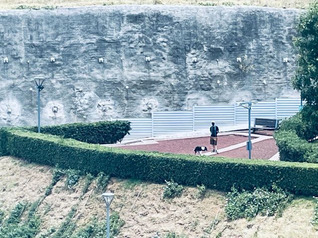 place photo 41