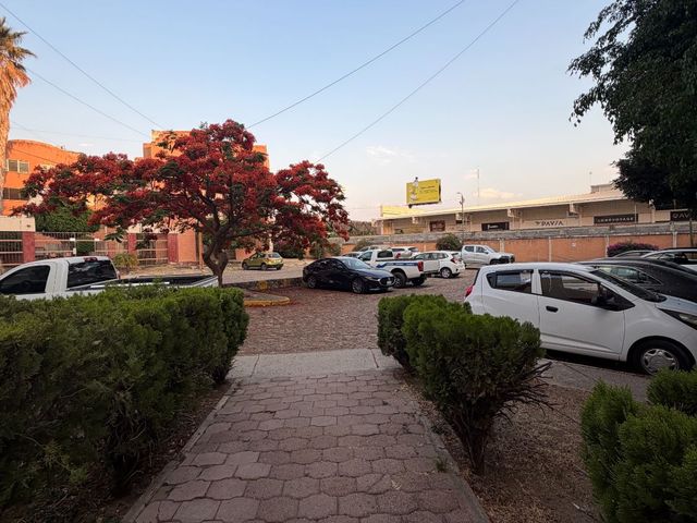 place photo 16
