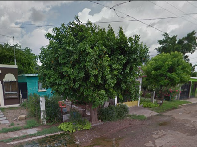 place photo 11
