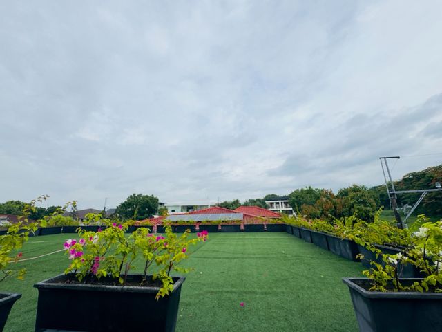 place photo 51