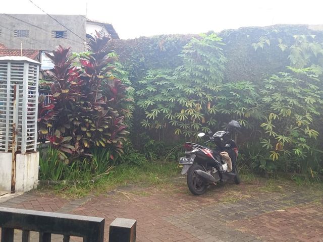 place photo 7