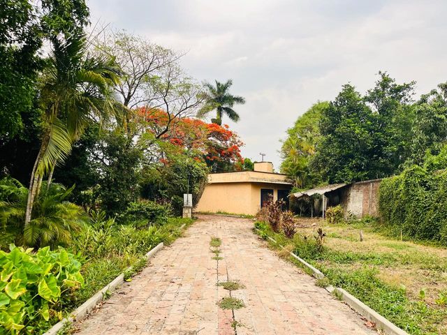 place photo 28