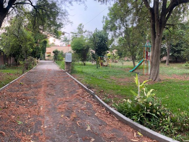 place photo 32