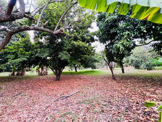 place photo 40