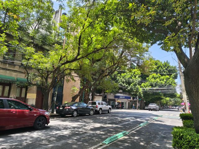place photo 23
