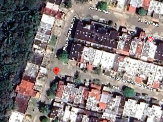 place photo 11