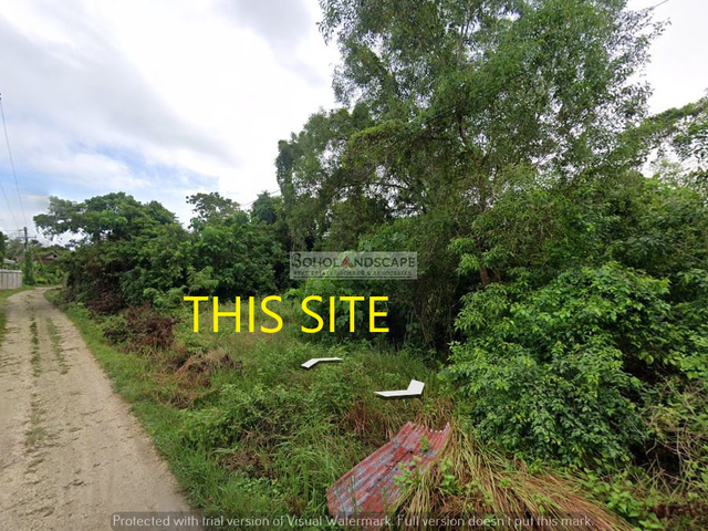 place photo 7