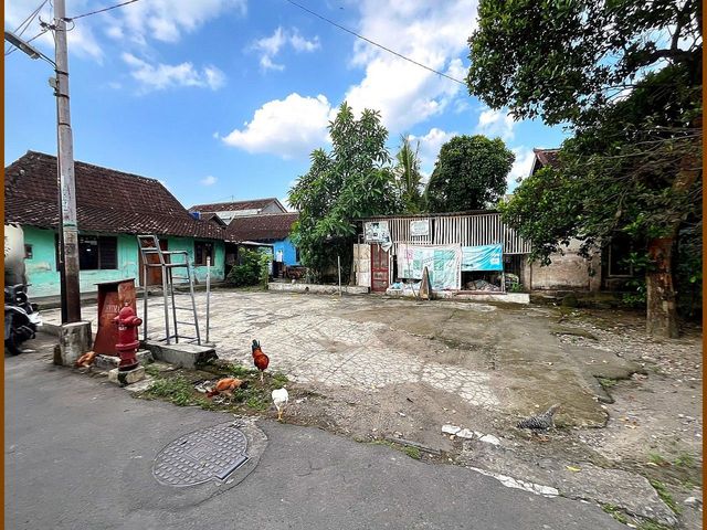 place photo 5