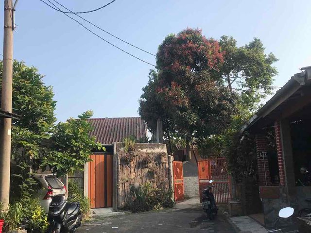 place photo 31