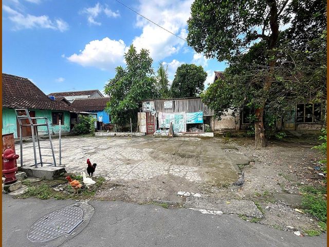 place photo 5