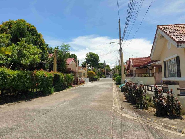 place photo 19