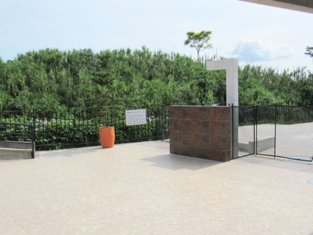 place photo 32