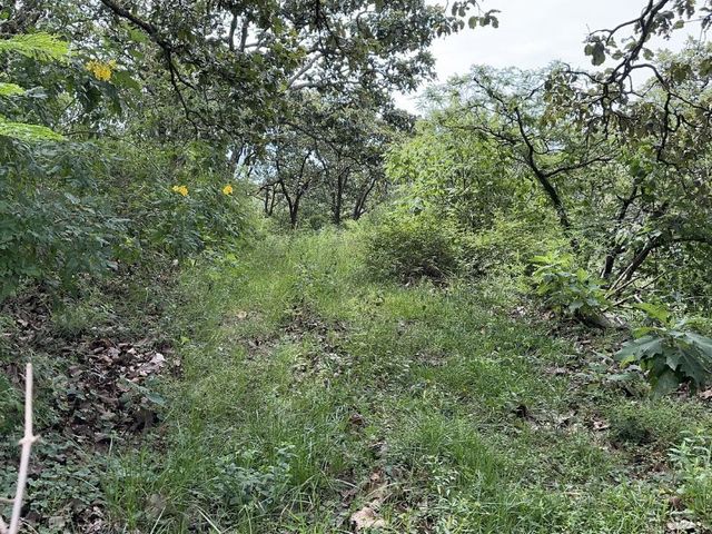 place photo 32