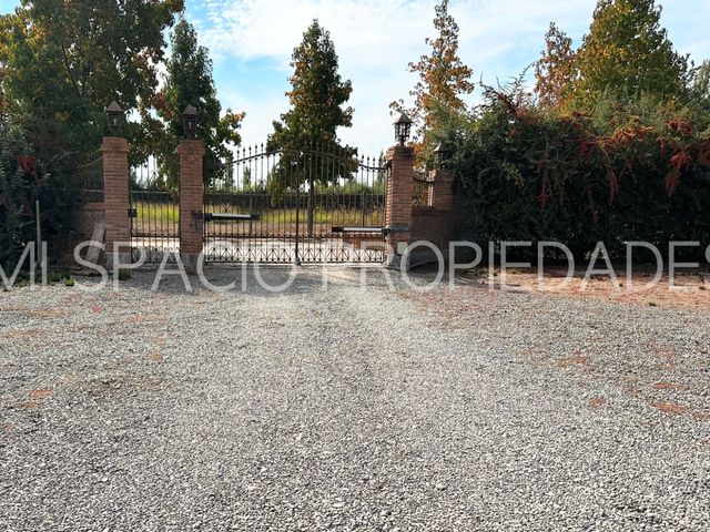place photo 29
