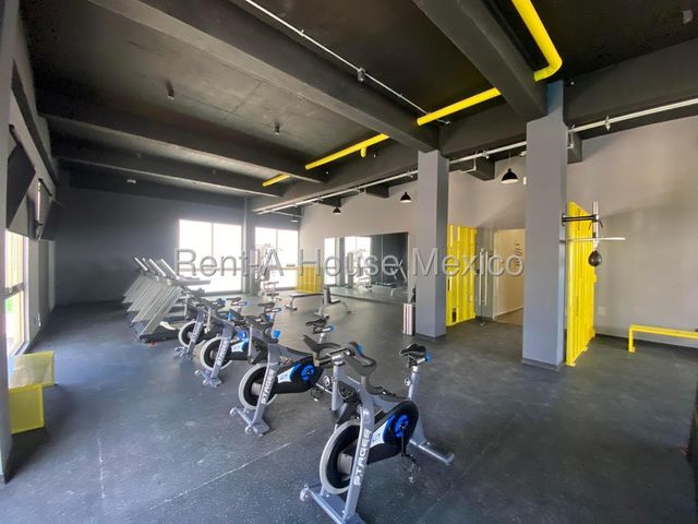place photo 36