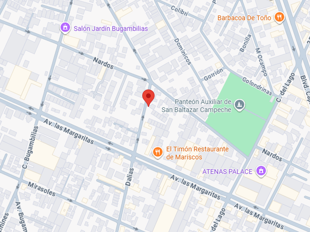 place photo 11