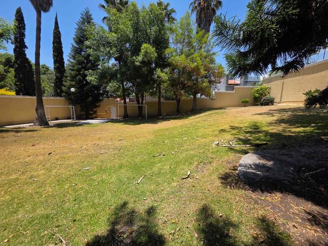 place photo 46