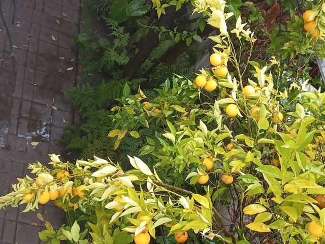 place photo 24