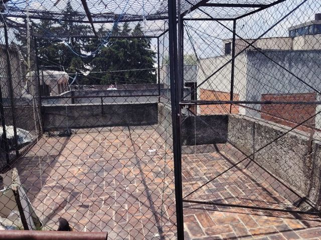 place photo 24