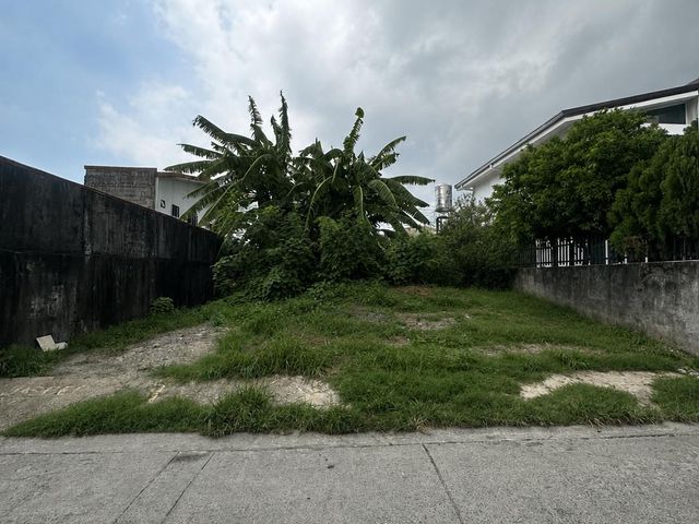 Residential Vacant Lot FOR SALE in Teresa Park Subdivision, Pilar, Las Pinas City