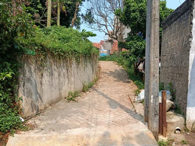 place photo 20