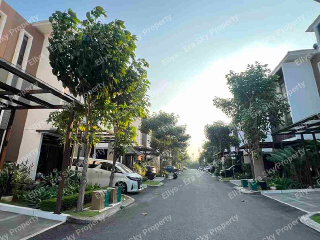 place photo 18