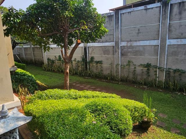 place photo 26