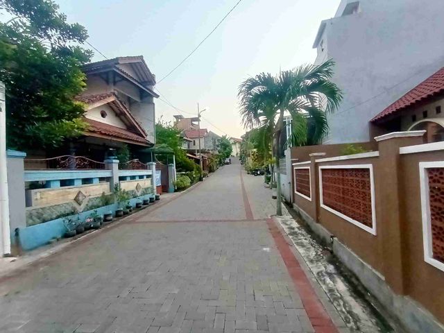 place photo 17