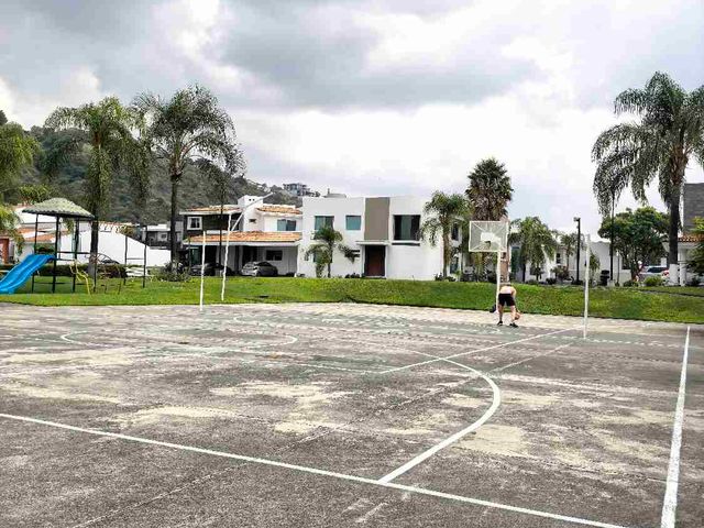 place photo 44