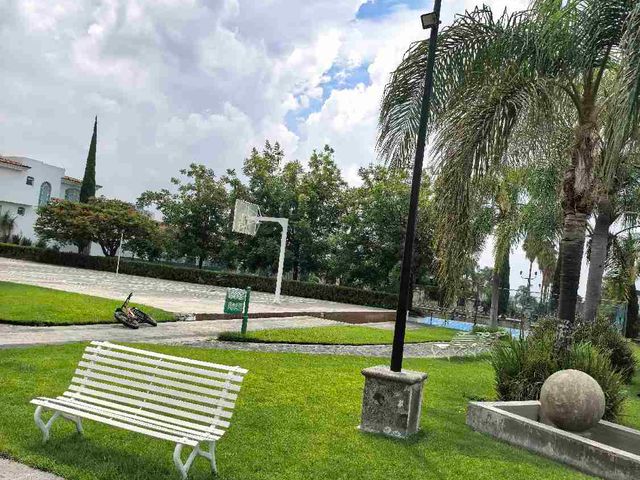 place photo 37