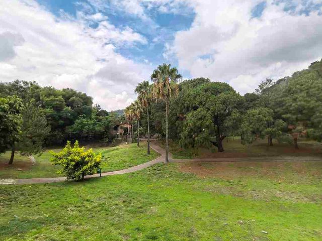 place photo 45