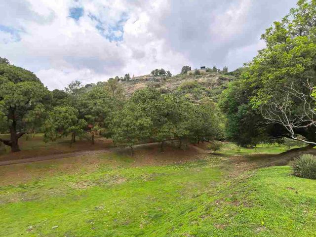 place photo 46