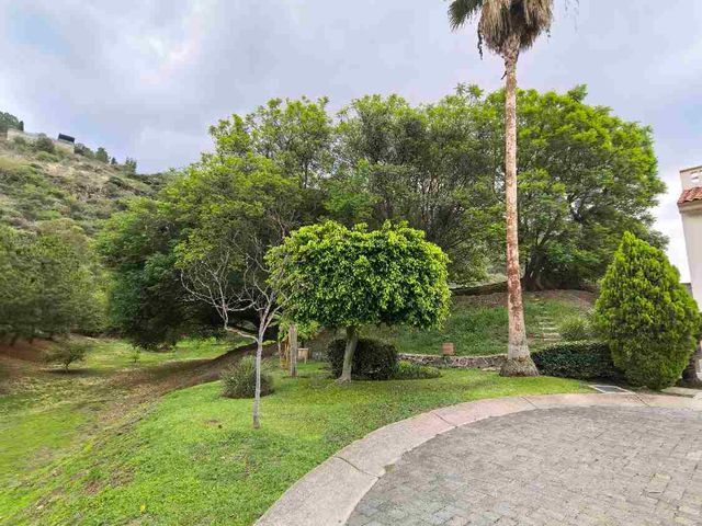 place photo 47