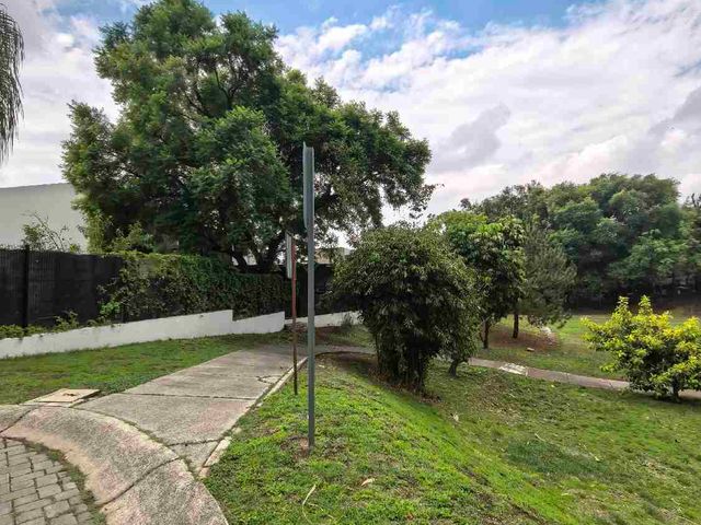 place photo 48