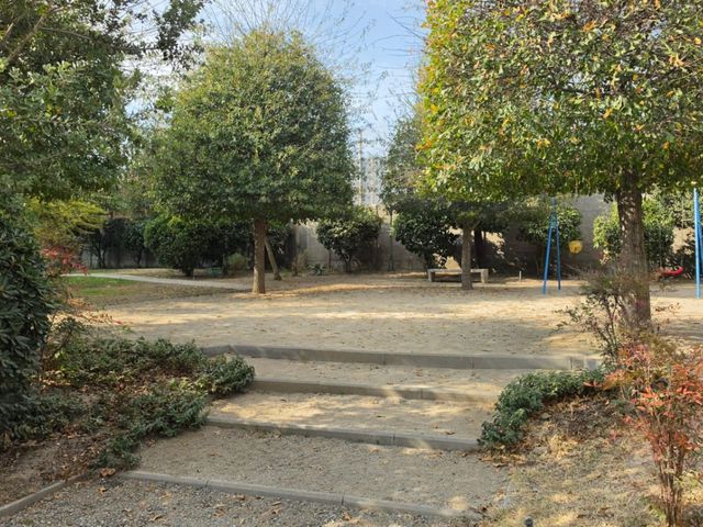 place photo 55