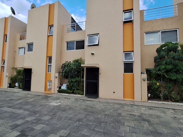 place photo 26